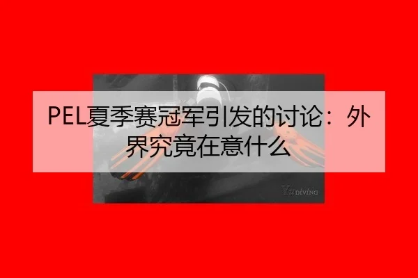 PEL夏季赛冠军引发的讨论：外界究竟在意什么